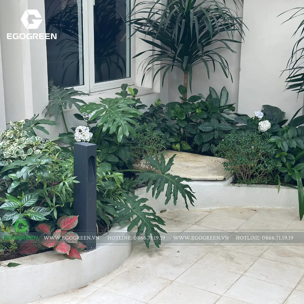 Dọn dẹp sạch từng góc nhỏ trong sân